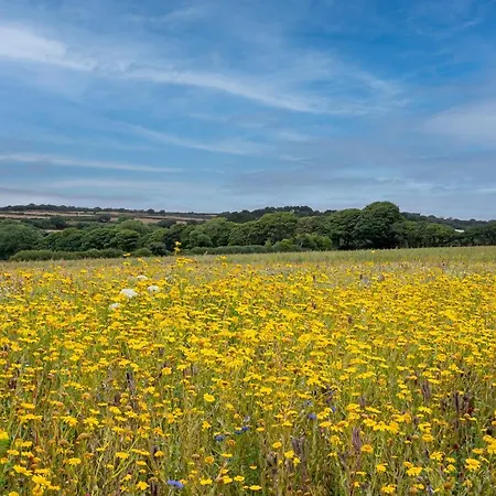 The Woodland Collection, 10 Mins From Beaches Hayle