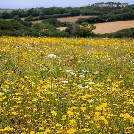 The Woodland Collection, 10 Mins From Beaches Hayle